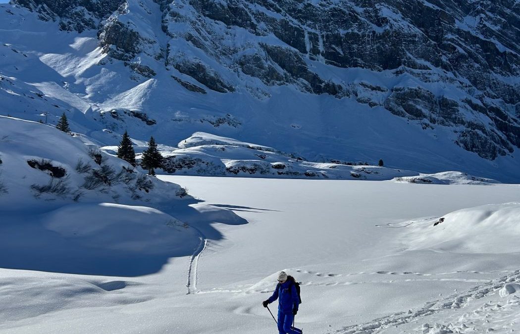 Stappen in de sneeuw